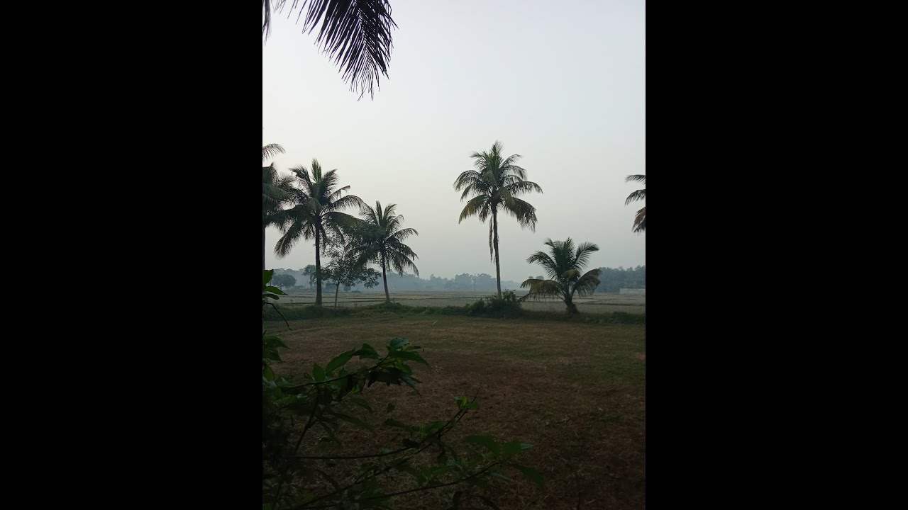 Journey vibes is live! লাইভ থেকে পল্লী🌴🌱🌳🇧🇩 