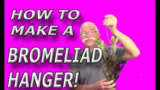 Let's Make a Bromeliad Hanger!