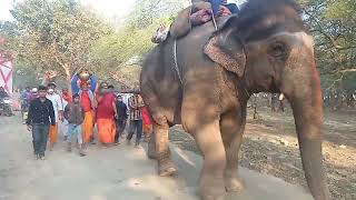 कलश यतर नकल गई मतशवर परवर दवर...21022022