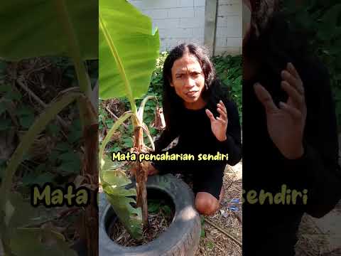 Awas! Buah ini sangat berbahaya jika dikonsumsi