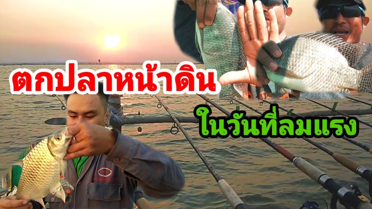 เรือ ตก ปลา เล็ก บุษบา