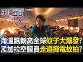 海溫飆新高全球「蚊子大爆發」！？ 孟加拉飛機空服員服務「走道揮電蚊拍」！？【關鍵時刻】20260702-5 張炤和
