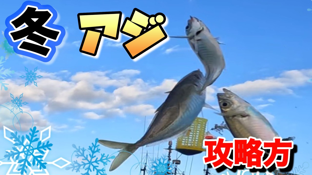 冬のアジサビキ 釣り。堤防で座って大漁に釣るコツを紹介