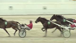 Vidéo de la course PMU PREMI FRANCIS