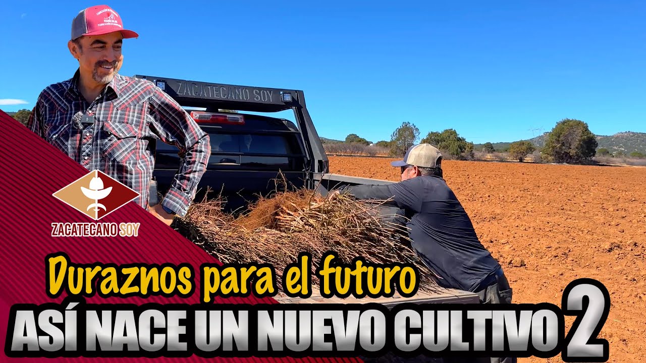 CRECIENDO CON LA NATURALEZA árboles de durazno