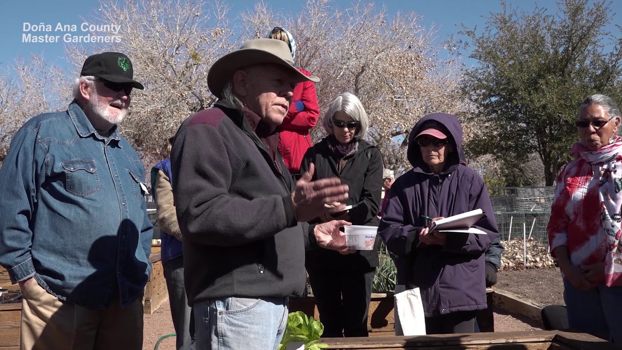 Videos | New Mexico State University | BE BOLD. Shape the Future.