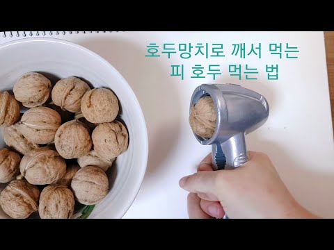[호두망치] 피호두먹고 두통 힘내세요.
