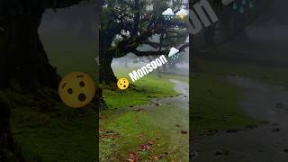 😦 monsoon season nature #music #artist #weather #shortsfeed #rain#shortsviral #viral #youtubeshorts
