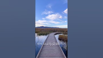 تلاوة آيات من سورة الذاريات