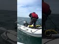 Nobody Thought We’d Catch This Halibut