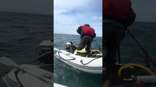 Nobody Thought We’d Catch This Halibut