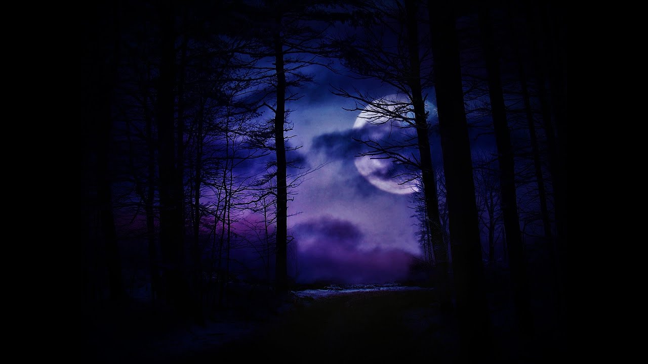 Haunted Forest Soundscape {Ambience}