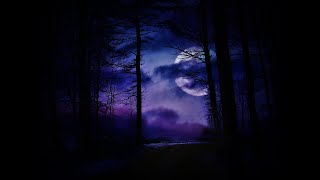 Haunted Forest Soundscape {Ambience}
