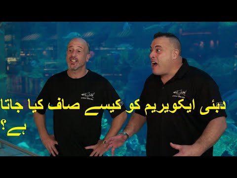 Cleaning Process of Dubai Aquarium