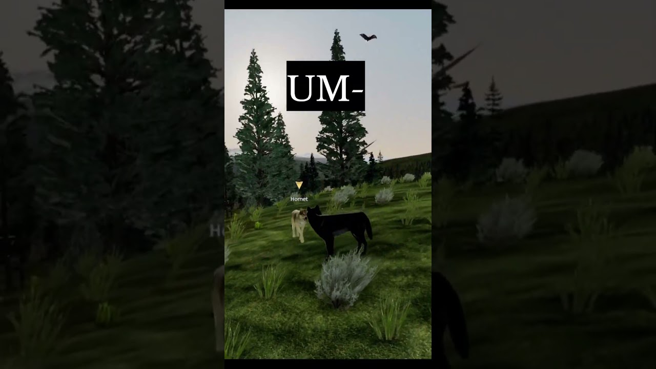 Mate Gets Attacked by Bison 