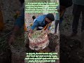 #trending#adbhutham#ರೇಣುಕಾ ಯಲ್ಲಮ್ಮ ದೇವಿ#devotionalvideo #trendingvideo#vairalvideo #motivationvideo