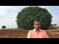 Learn Organic Farming with Shankar - Episode 2 - Buying Land - 2/2