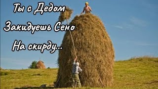 Обзор дома в деревне Лошица,Слуцкий район, Минская область.