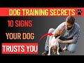 10 Signs Your Dog Has Imprinted on You – Expert Dog Training Tips by The Online Dog Trainer
