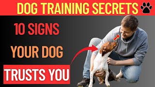 10 Signs Your Dog Has Imprinted on You – Expert Dog Training Tips by The Online Dog Trainer