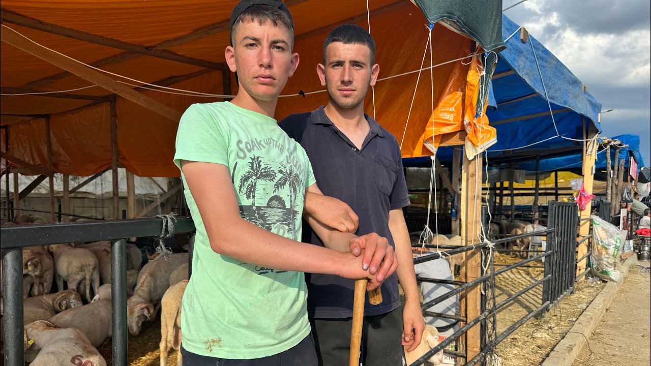 Panayır kurban pazarı bugün hareketli birazda olsa