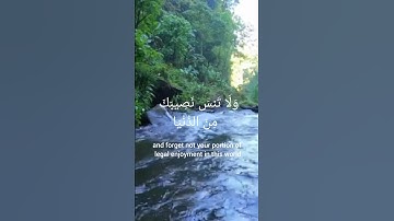 #المنشاوي #سورة_القصص