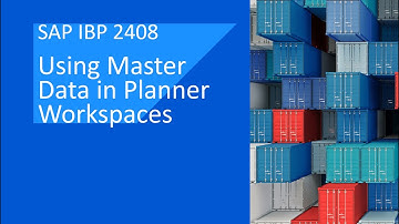 Using Master Data in Planner Workspaces in SAP IBP 2408 | Demo