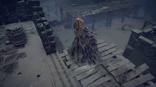 ELDEN RING Castle Sol Knight Cheese