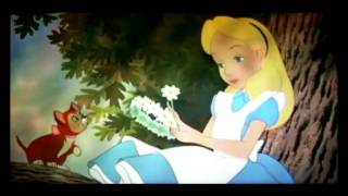 Alicemarina Non-Disney Crossover - Come Back To Me Happy Anniversary Tixa