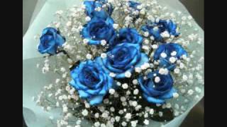 Soundhound とんがり屋根の花屋さん By 松田聖子