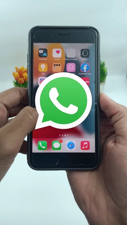 How To Change WhatsApp Notification Sound On IPhone short whatsapp how-to-change-whatsapp-notification-sound-on-iphone-short-whatsapp
