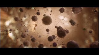 Marvel Studios' Ant-Man and The Wasp | Quantum Realm Special Look