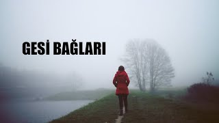 Gesi̇ Bağlari Anatolian Rock Turkish 70 S