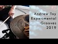 Andrew Toy Experimental Grooves 2019