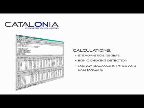 Piping_design_software_compressible_fluid_flow_modeling_mach_number.avi