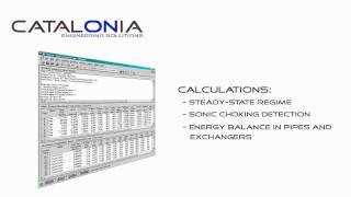 Piping_design_software_compressible_fluid_flow_modeling_mach_number.avi