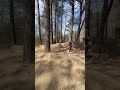 Some jumps on the new bike #mtb #mountainbiking #specializedbikes #jump #specialized #starkvarg