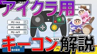 保存版 アイクラ練習のロードマップ アイスクライマーの練習手順 アイスクライマーの書