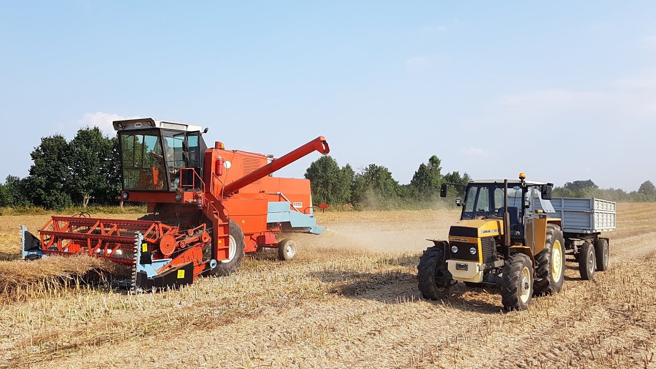 Żniwa rzepakowe 2021 - Kolejne dni koszenia rzepaku! - Ryk silnika Bizon Z056, Ursus 914