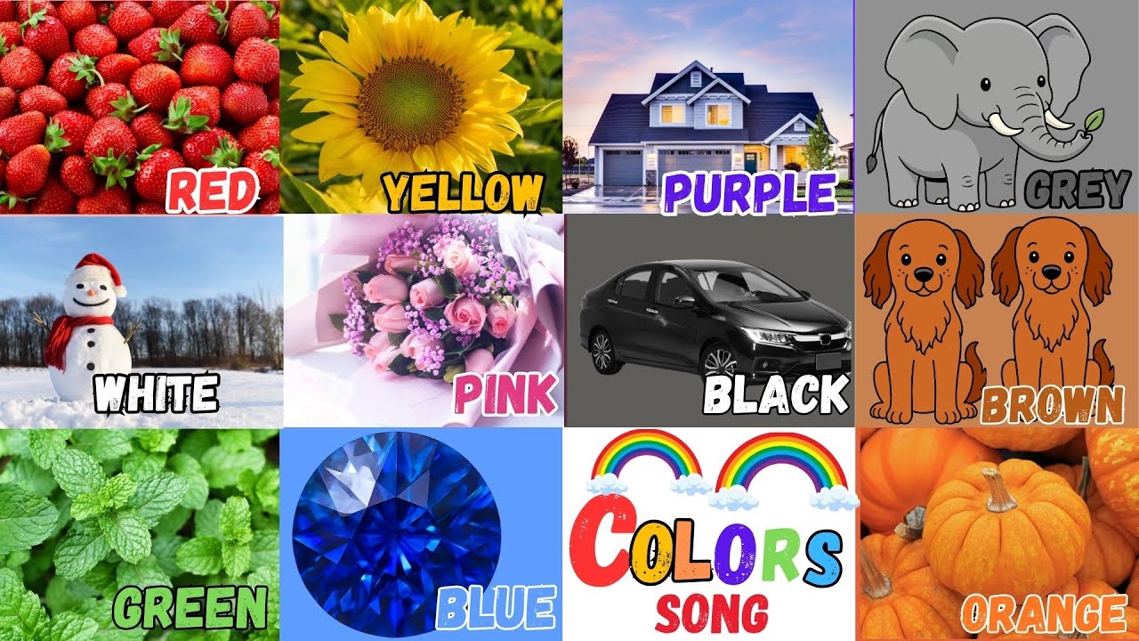 Primary Colors Song | We Love All The Colors | Red, Blue, Yellow ...