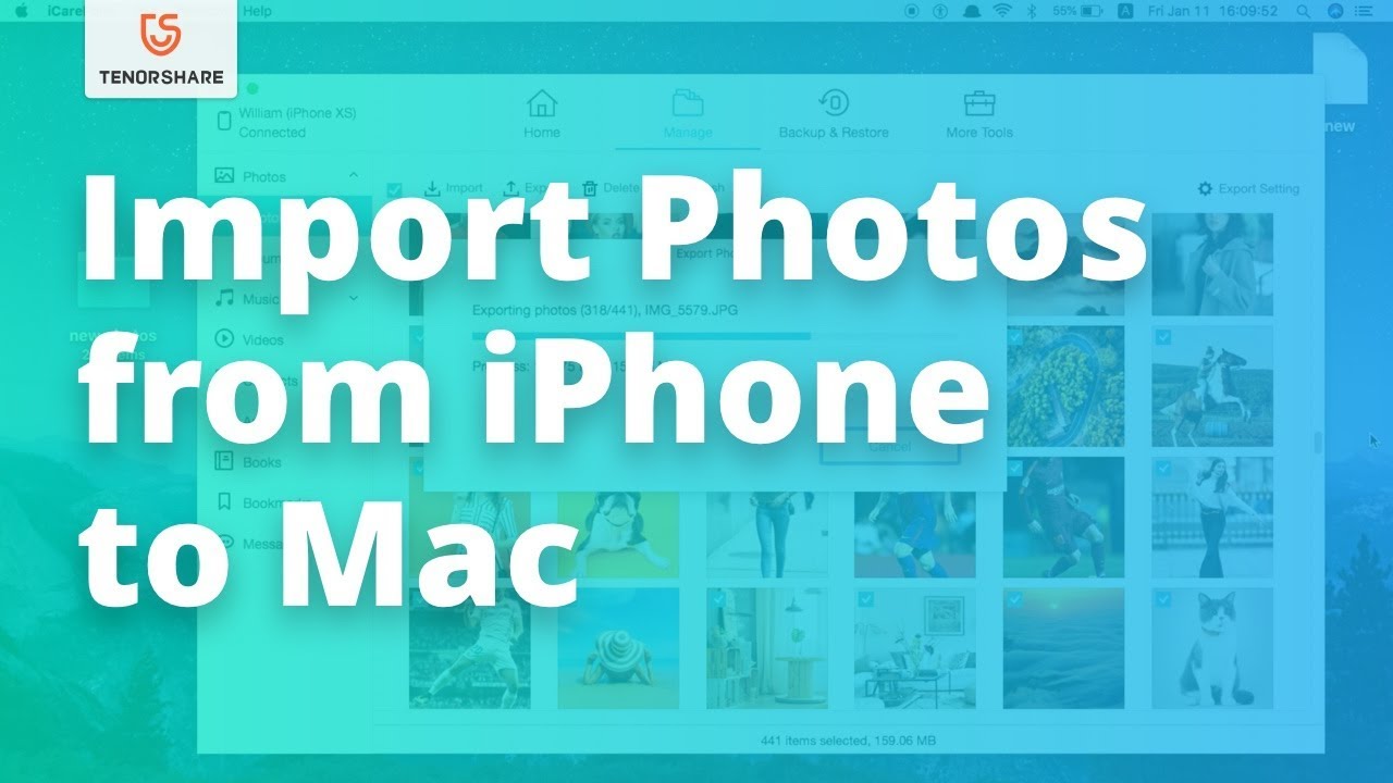 iphone photos not showing up in iphoto