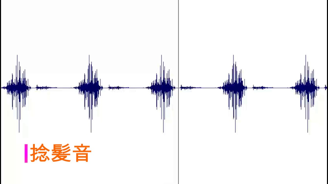 聴診ポータルサイト 肺音 副雑音サンプル紹介 Youtube