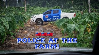 WHY POLICE SHOWED UP AT THE FARM | SAMOA 🇼🇸 | MATAMAUGAAGROFARMING