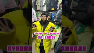 ПУХОВИК ЗА 2500₽ #садовод