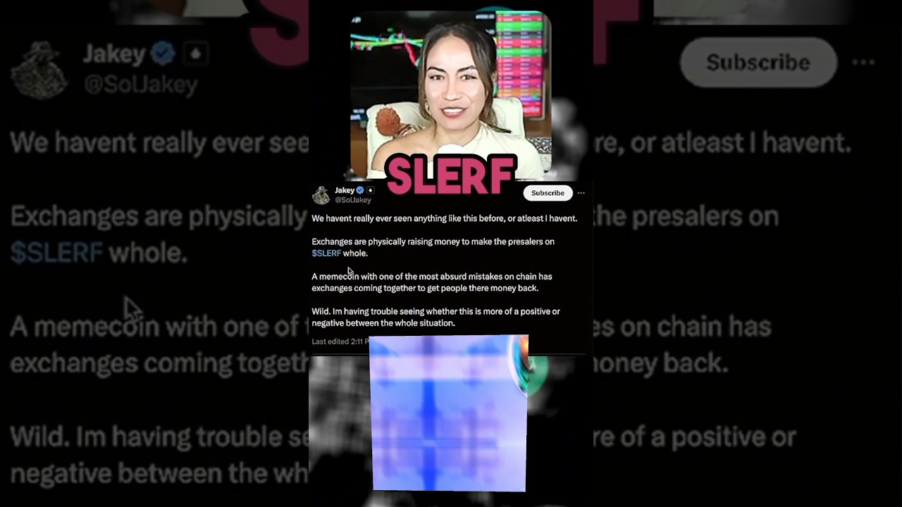 The Rise and Fall of Slerf: The Degenerate Meme Point in Crypto History