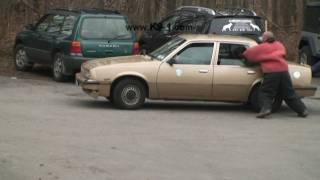Rottweiler Attack Training K9-1