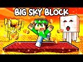 HO PERSO TUTTO nel NETHER. - MINECRAFT BIG SKYBLOCK
