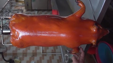 Master Commercial Crispy Roasted Suckling Pig: Professional Video Course 烤乳猪教学