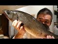 [생선오로시] 급이 다른 농어입니다　Fillet Blackfin Seabass | Blackfin Seabass Sashimi