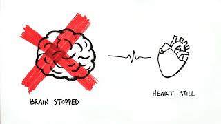 The Stages of Death: Minutes to Days